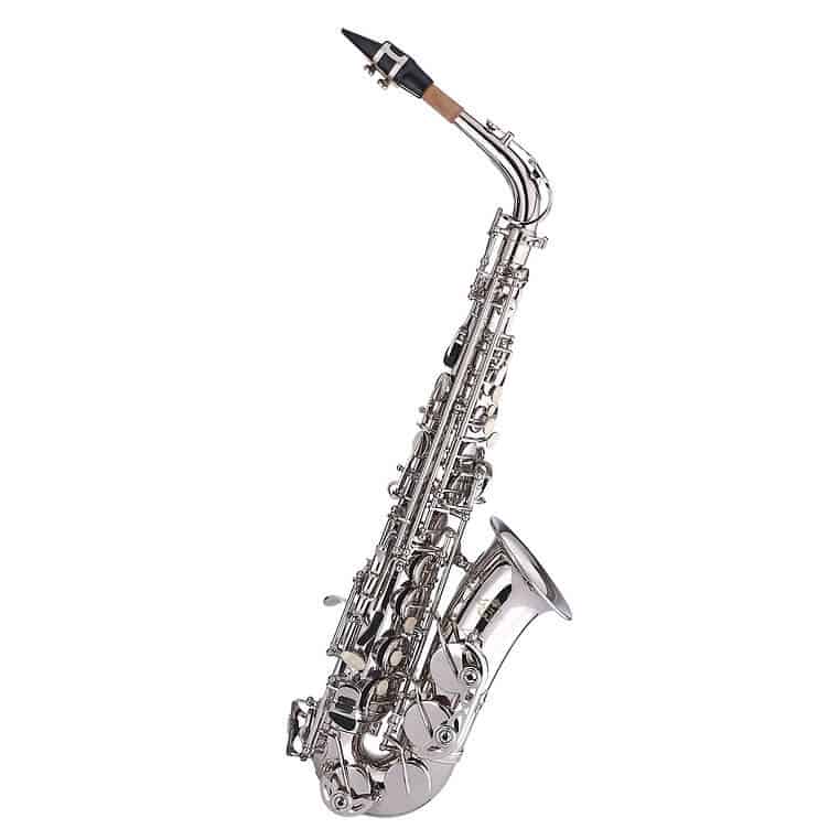 Kaizer Alto Saxophone ASAX-1000NK