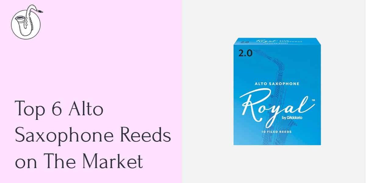 The 6 Best Alto Sax Reeds – Complete Reviews With Pictures